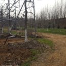 고덕면017 이미지