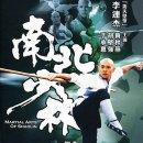 소림사 3: 남북소림 (Martial Arts Of Shaolin, 1986) - 무협, 액션 | 중국, 홍콩 | 95 분 ㅣ이연걸, 황추연, 호견강 이미지