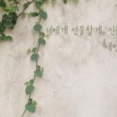 한테라피