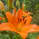 군포지구대삼거리(군포지구대 앞) | 군포사주