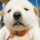 머큐리PC방 이미지