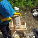 벧엘 양봉 이미지