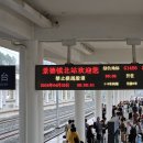 G1456 이미지