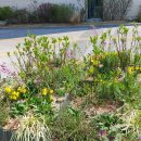 교문중학교 이미지