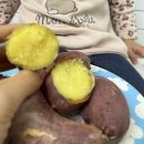 아이 간식 고민 끝! 게르마늄 농법 여주 꿀고구마로 만든 달콤 촉촉 레시피