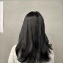 인아웃 이미지