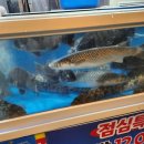 수산시장막썰어횟집 이미지