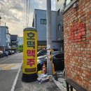 호맥내동점 - 11271 | 호맥내동점