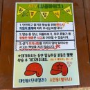 사람들과 자동차 | 경주글램핑 두 바퀴로 가는 자동차 관광농원 내돈내산 솔직후기