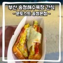 부산 송정해수욕장 간식 맛집 추천 : 문토스트 송정본점 내돈내산 먹거리 후기