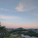 허브애견 이미지
