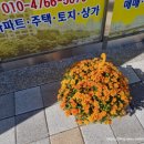 평화부동산공인중개사사무소 이미지