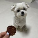 멍스하우스 이미지