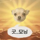 살롱뉴뉴