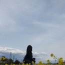 푸른바다스파펜션