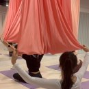 다산플라잉요가 추천 메이트플라잉요가 운동효과 확실한 요가센터