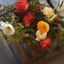 컨포지움 이미지