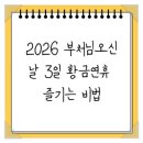 삼일청과 | 2026 부처님오신날 3일 황금연휴 즐기는 비법