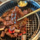 신정동 맛집 조가네 갈비집 탐방 후기!! (feat. 가족 모임)