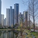 매성중학교 이미지