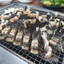 힘센장어오리
