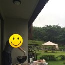 수화림 이미지