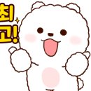 스테이 이공 네이버블로그
