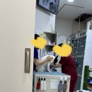 어반동물병원 이미지