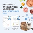 [서포터즈 정글러버 14기]🎉 먹방요정할 멍냥이 여기요기 모여라아~!! 🍀 (강아지 체험단, 고양이이벤트)