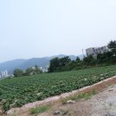 선택농장 이미지