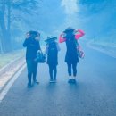 브라운도트호텔 안동옥동점 이미지