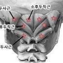 다나은트레이닝센터 네이버블로그