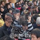 박근혜 출두에 &#39;통행 마비된 대구 달성 화원시장&#39; 이미지