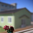 감귤향기 이미지