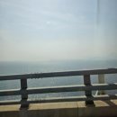 청도통김밥 이미지