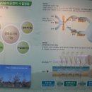 갈대습지공원 이미지