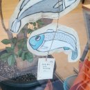 대화송어양식장 이미지