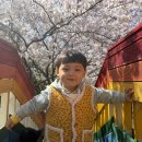 🌸벚꽃처럼 만개한 씩씩이 친구들🌸 이미지