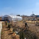 체리공인중개사사무소 이미지