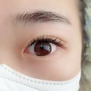 미쓰고속눈썹 - 청주시 흥덕구 서현북로 58 | [충북 오송] 멀티뷰티샵 미쓰고속눈썹 오송점에서 속눈썹 연장 하고 왔어요.