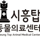 시흥탑동물의료센터 이미지
