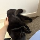 두두 플레이방 이미지