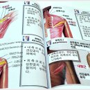 바다체형관리