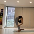 종암한의원 | 미아사거리요가 어쩌다보니 한의원투어 쌍문역에서 약침