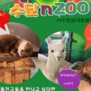 수달앤쥬 이미지