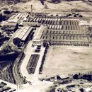 금성농산(주) 이미지