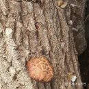 오케이행정사공인중개사사무소 이미지