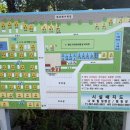 발포해수욕장 | 고흥 염포해수욕장 1박 2일 캠핑후기, 나로힐링캠핑장, 바다 바로 앞 감성캠핑 명소