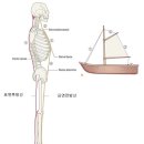 기능동작아카데미 이미지