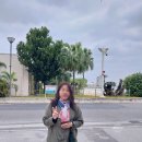 본에지리조트 | 자유여행 오키나와 북부 여행 거점으로 2박을 했던 디 오리온 호텔 모토부 리조트 앤 스파 호텔 숙박 후기
